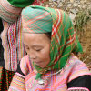 Hmong hoa 花モン族 